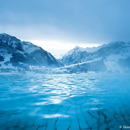 Appartement Anny 2 By Interhome Zell am See